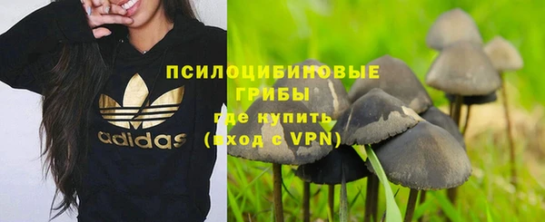 ешки Алексин