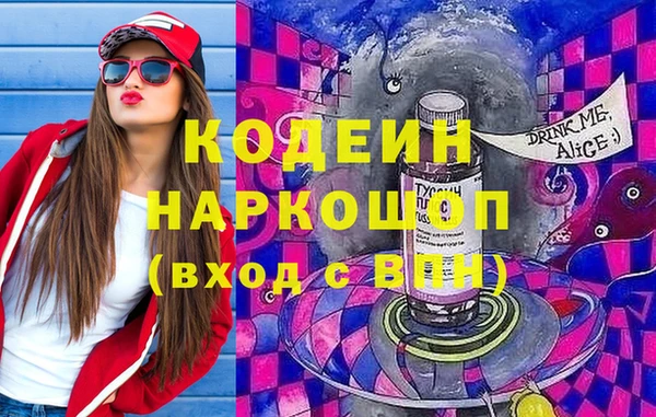 ешки Алексин