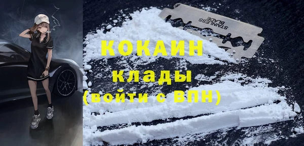 ешки Алексин